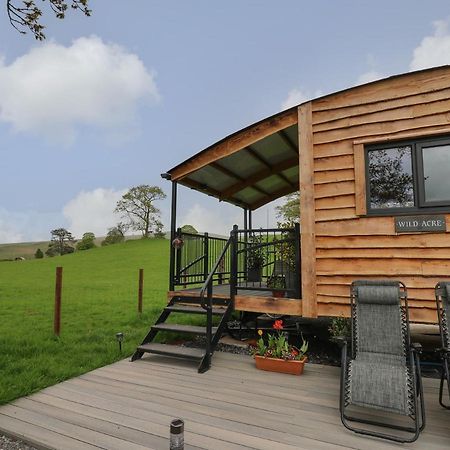 Wild Acre Villa Llangadog Exterior photo
